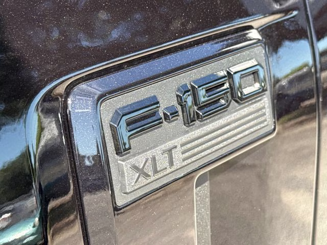 2026 Black Ford F-150 XLT RWD Truck