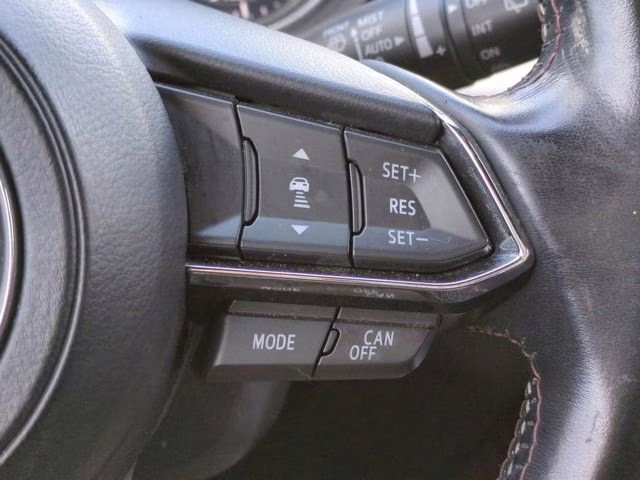 2017 Machine Gray Metallic Mazda CX-9 Signature AWD SUV