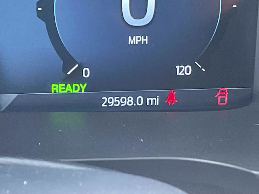 2025 Oxford White Ford F-150 XLT 4X4 Truck