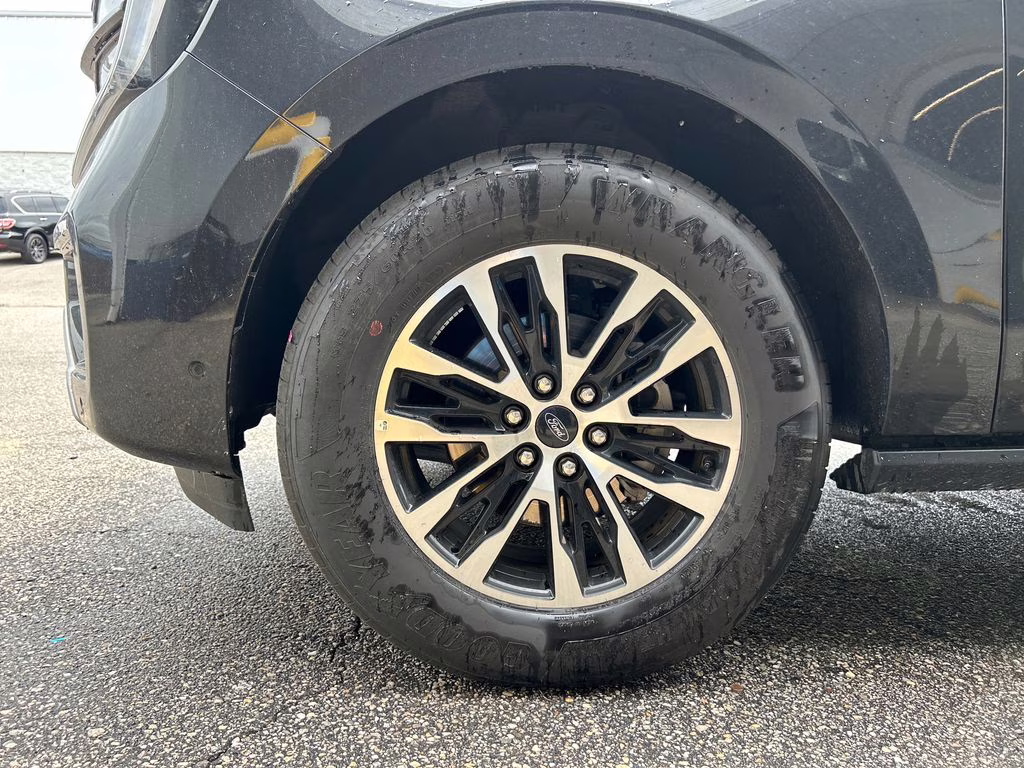 2025 Agate Black Metallic Ford Expedition Platinum 4X4 SUV