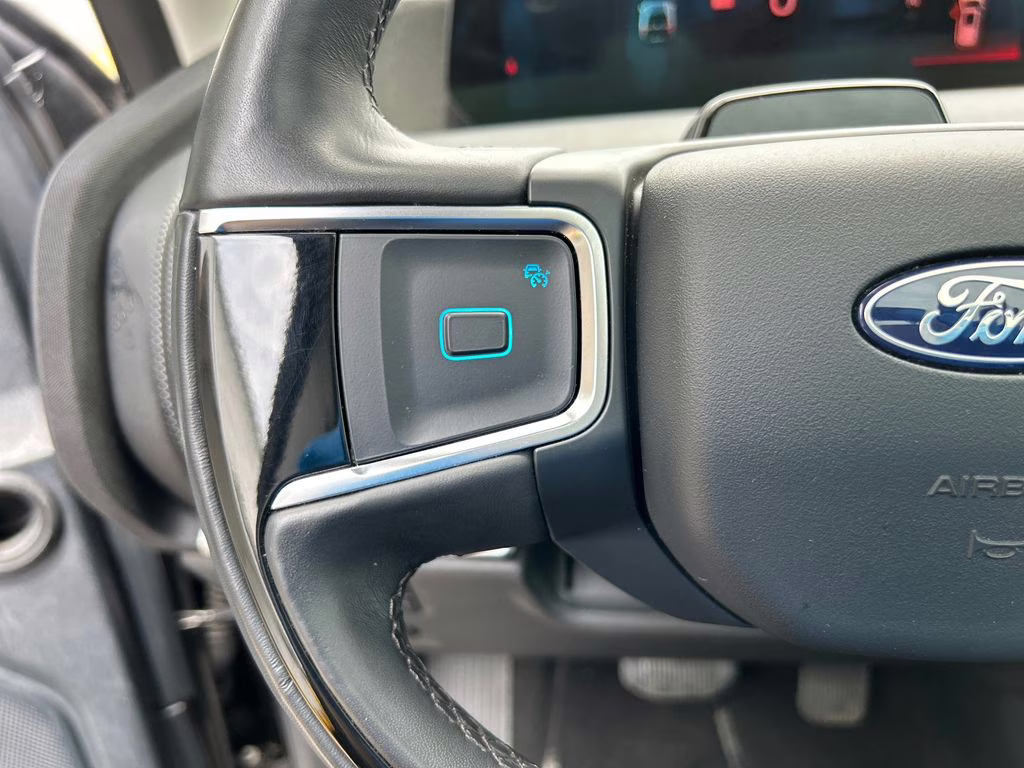 2025 Agate Black Metallic Ford Expedition Platinum 4X4 SUV