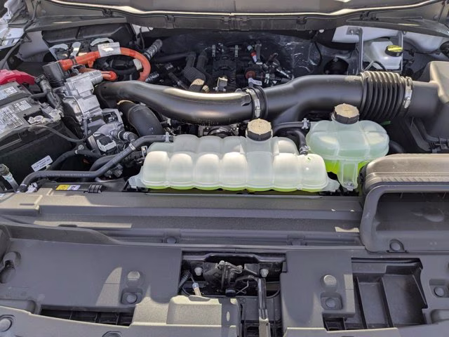 2025 Oxford White Ford F-150 XLT 4X4 Truck
