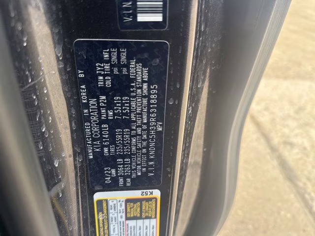 2024 Panthera Metal Kia Carnival EX FWD Van
