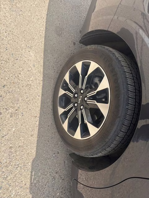 2024 Panthera Metal Kia Carnival EX FWD Van