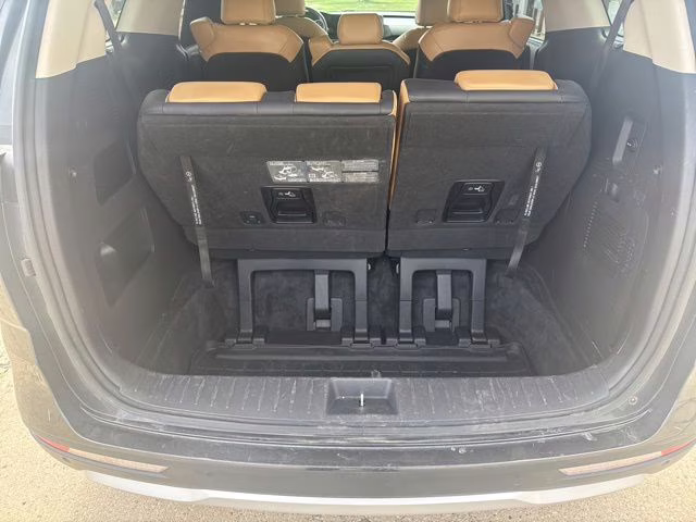 2024 Panthera Metal Kia Carnival EX FWD Van
