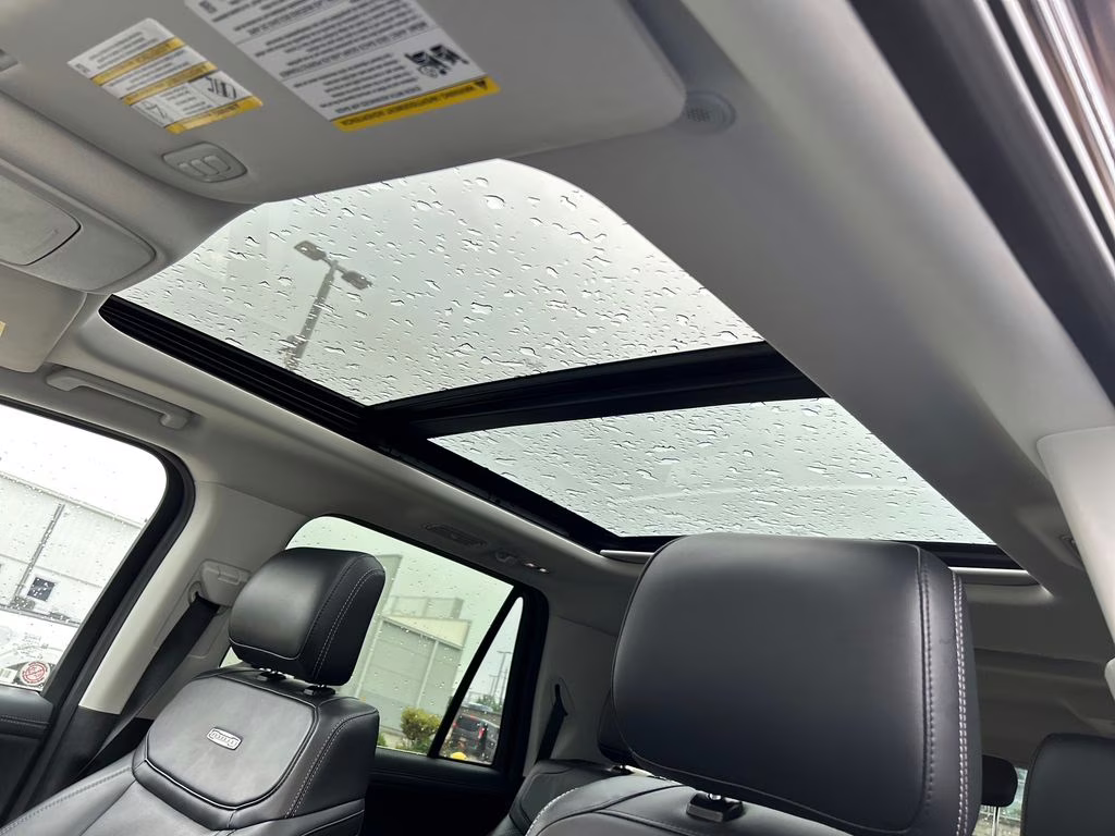 2025 Agate Black Metallic Ford Expedition Max Platinum 4X4 SUV