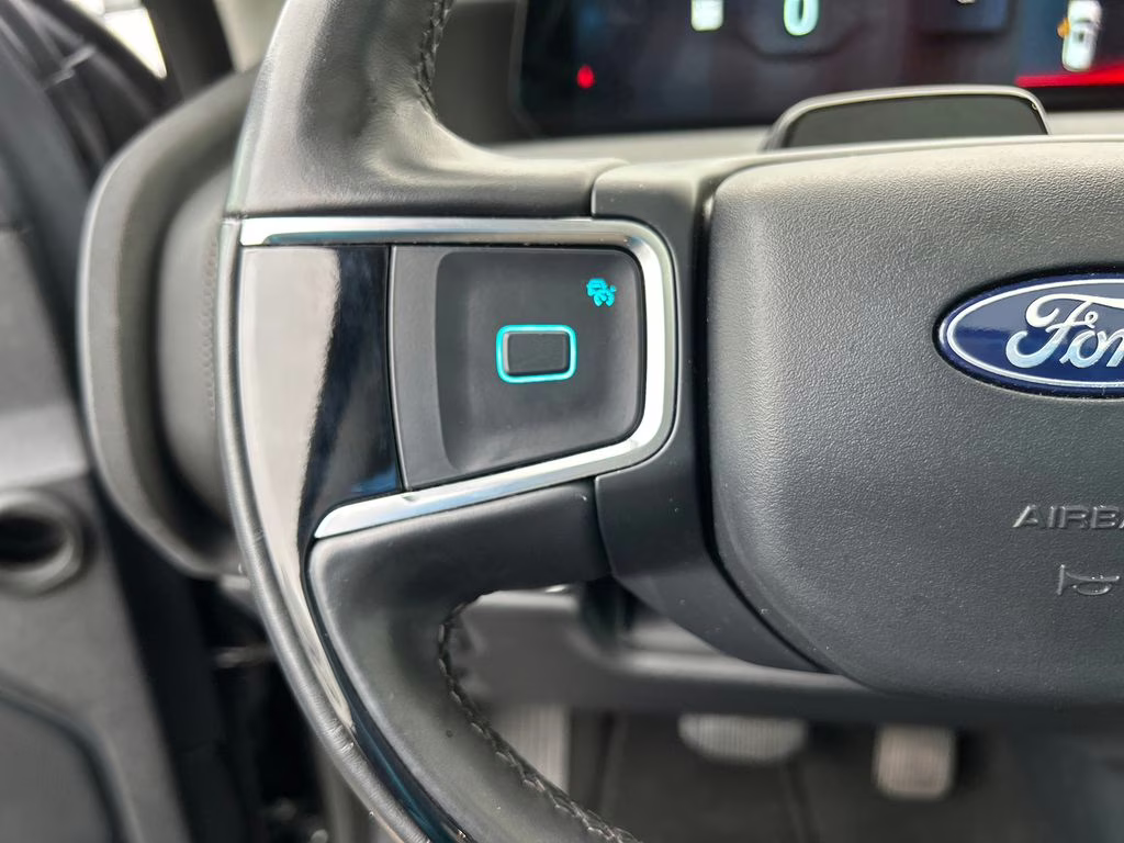 2025 Agate Black Metallic Ford Expedition Max Platinum 4X4 SUV