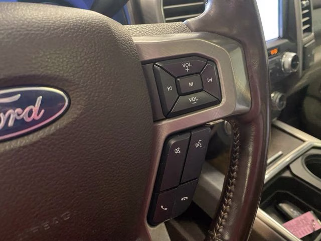 2019 Black Metallic Ford Super Duty F-250 SRW Limited 4X4 Truck