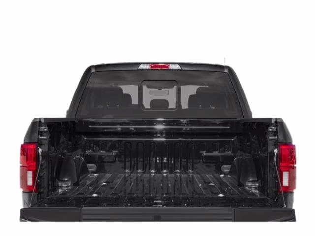 2019 Agate Black Metallic Ford F-150 Platinum RWD Truck