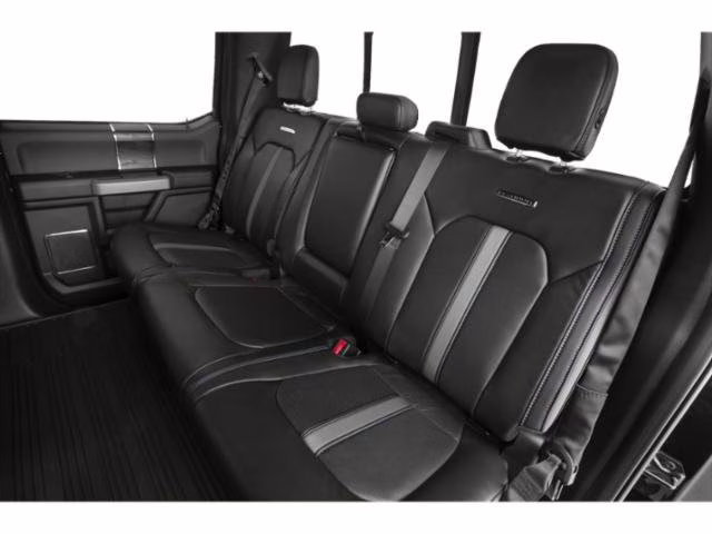 2019 Agate Black Metallic Ford F-150 Platinum RWD Truck