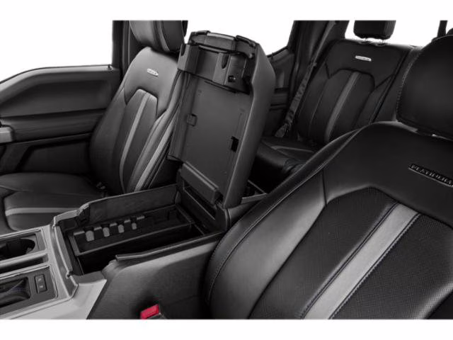 2019 Agate Black Metallic Ford F-150 Platinum RWD Truck