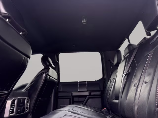 2019 Agate Black Metallic Ford F-150 Platinum RWD Truck