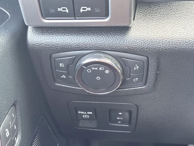2019 Agate Black Metallic Ford F-150 Platinum RWD Truck
