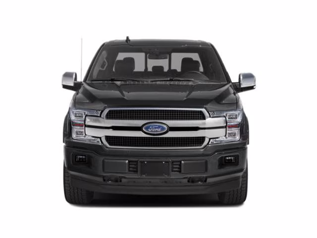 2019 Agate Black Metallic Ford F-150 Platinum RWD Truck