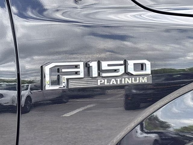 2019 Agate Black Metallic Ford F-150 Platinum RWD Truck