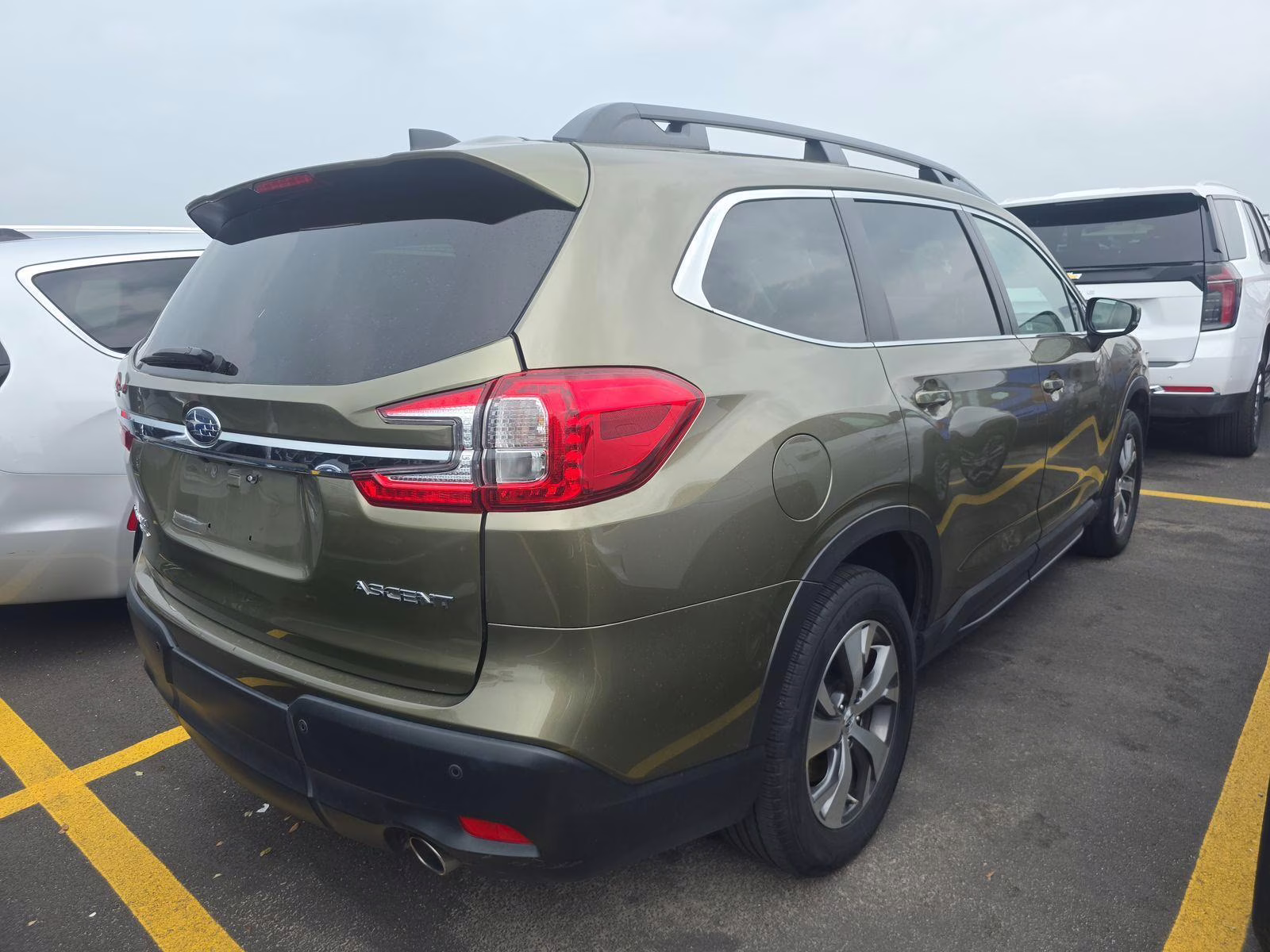 2025 Autumn Green Metallic Subaru Ascent Premium AWD SUV