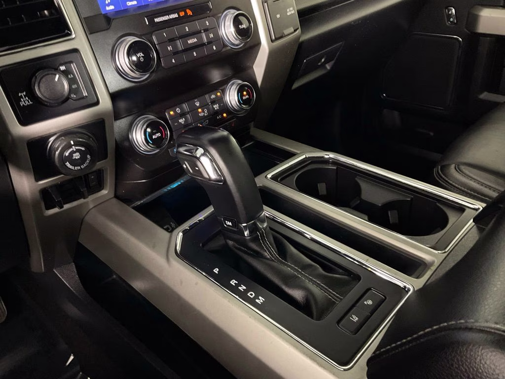2020 Magnetic Ford F-150 Lariat 4X4 Truck