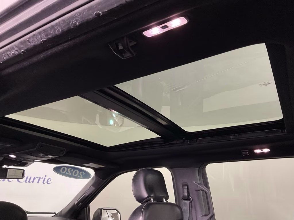 2020 Magnetic Ford F-150 Lariat 4X4 Truck