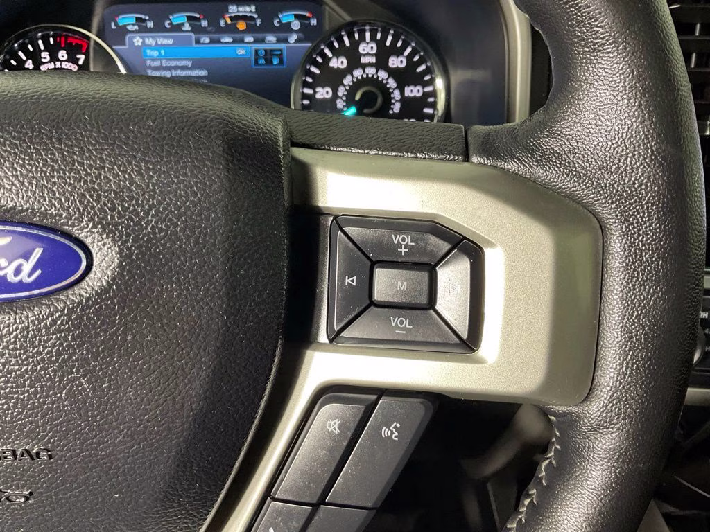 2020 Magnetic Ford F-150 Lariat 4X4 Truck