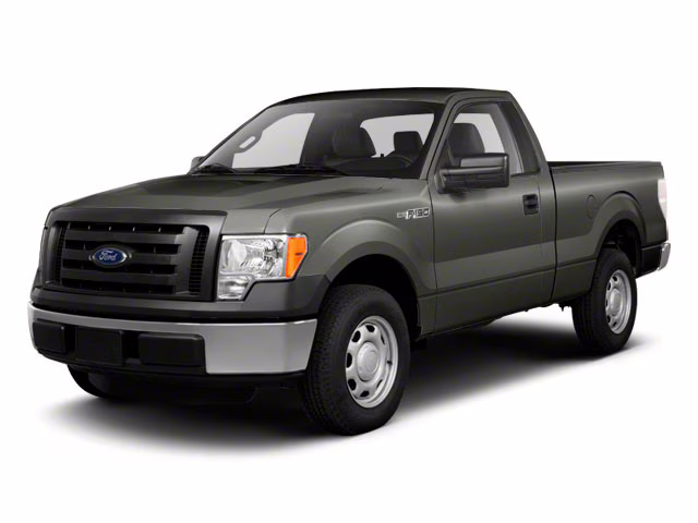 2010 Gray Ford F-150 4X4 Truck