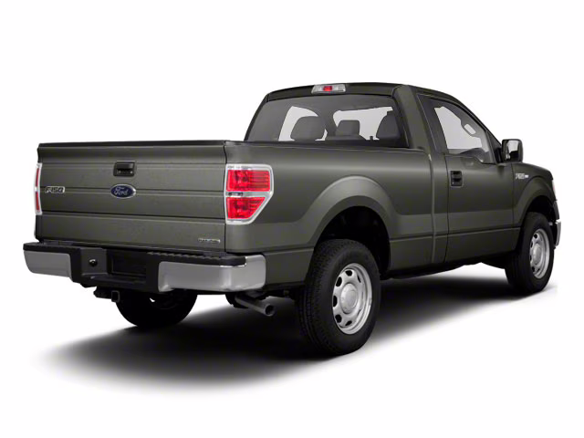 2010 Gray Ford F-150 4X4 Truck