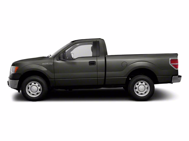 2010 Gray Ford F-150 4X4 Truck