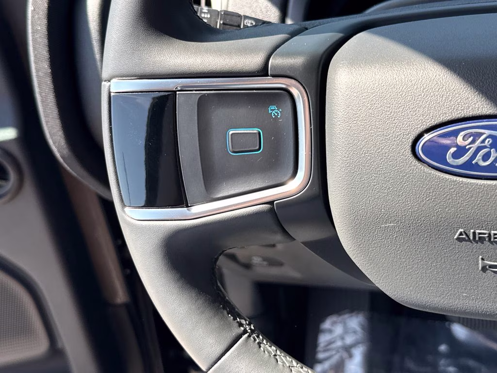 2025 Agate Black Metallic Ford Expedition Active RWD SUV
