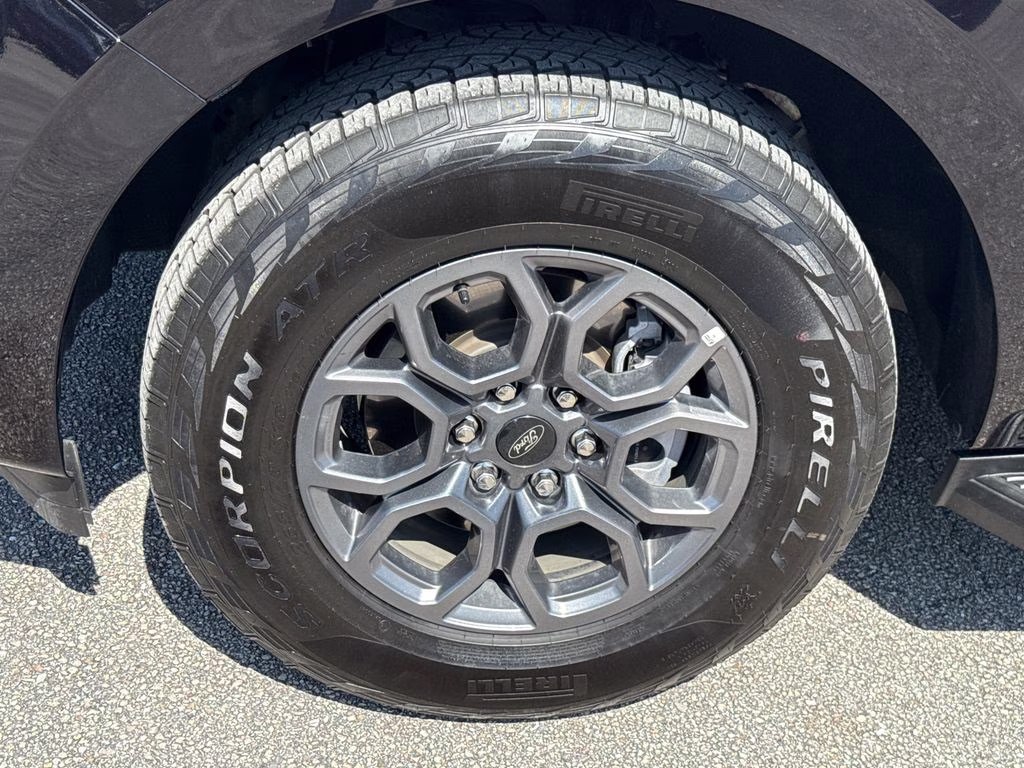 2025 Agate Black Metallic Ford Expedition Active RWD SUV