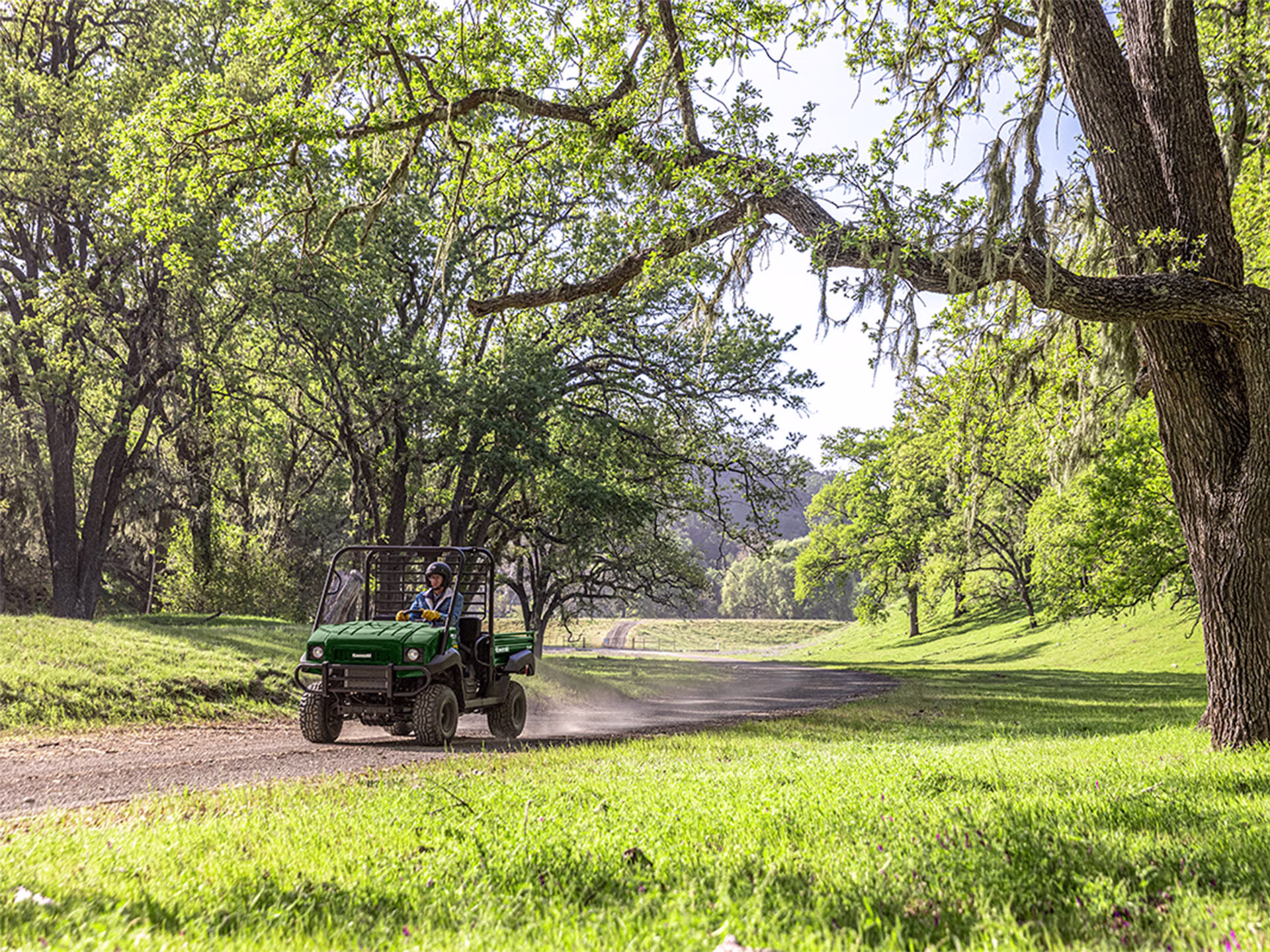 2026 Timberline Green Kawasaki MULE 4010 4x4 SXS