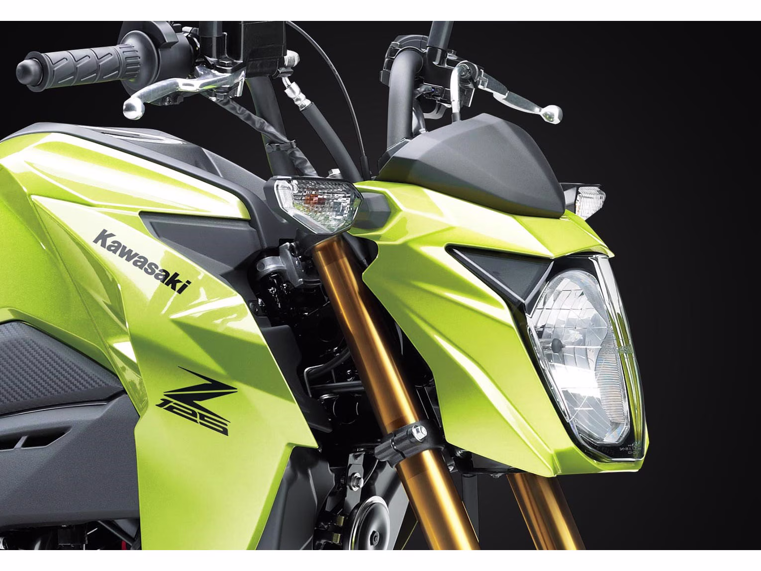 2026 Cypher Camo Beige Kawasaki Z125 Pro Motorcycle
