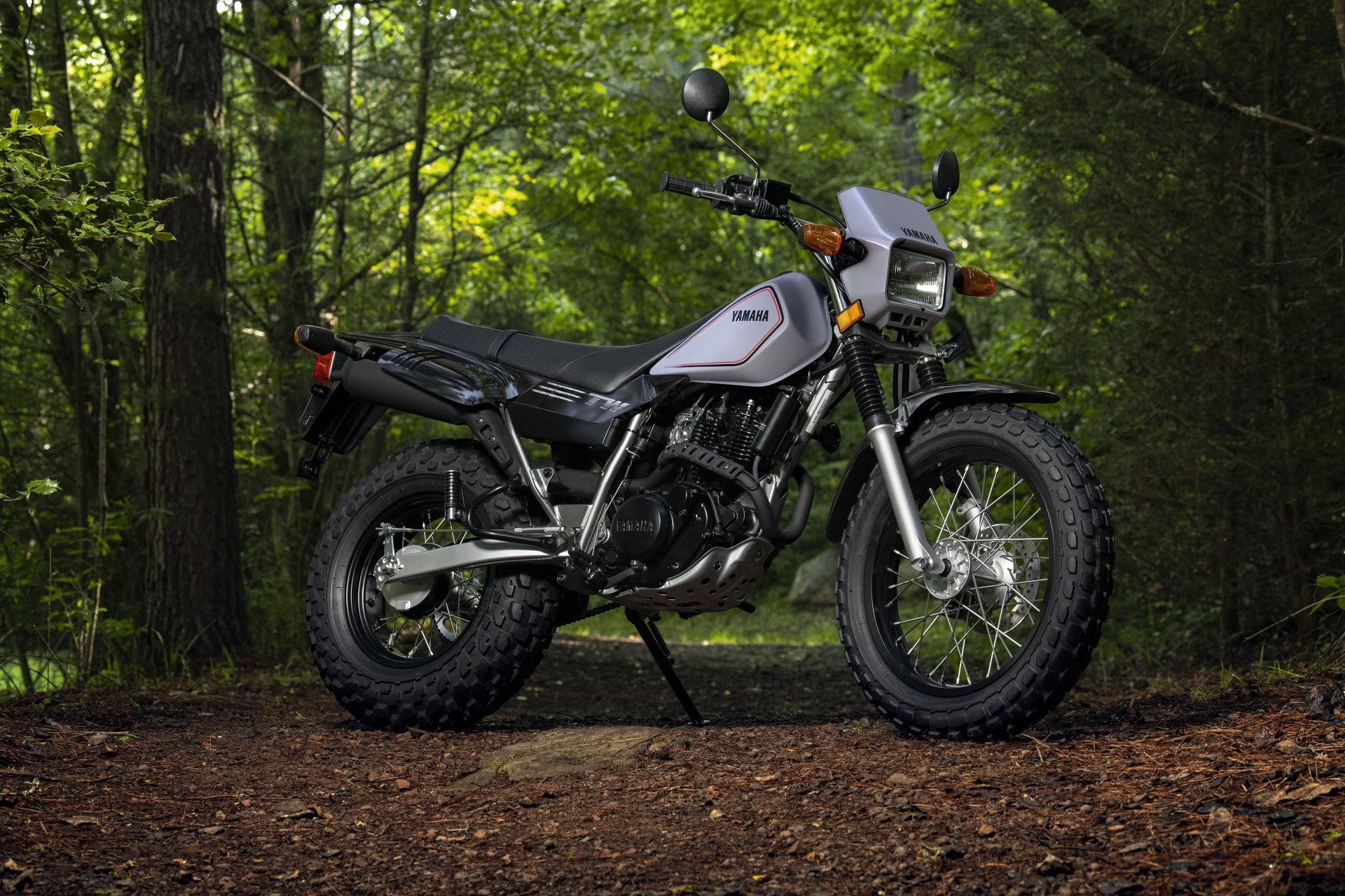 2026 Gray Yamaha TW200 Motorcycle