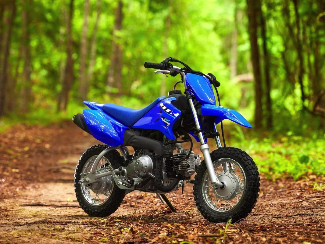 2026 Team Yamaha Blue Yamaha TT-R50E Motorcycle