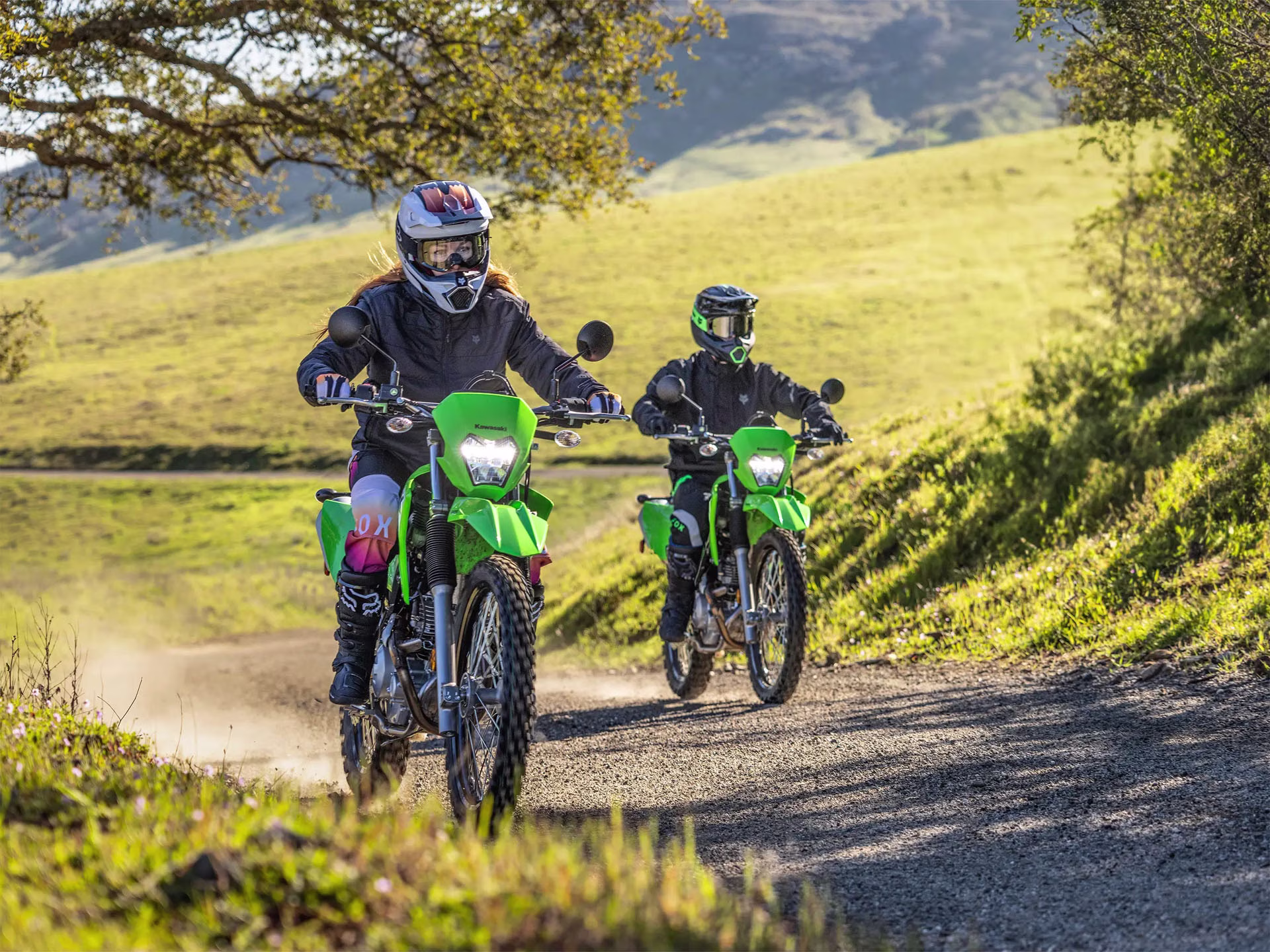 2026 Bright White Kawasaki KLX230 S Motorcycle