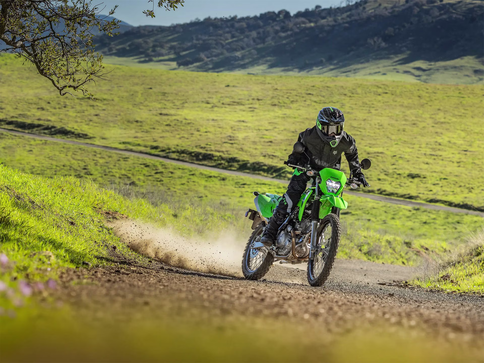 2026 Bright White Kawasaki KLX230 S Motorcycle