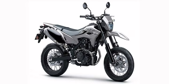 2025 Gray Kawasaki KLX 230 SM ABS Motorcycle