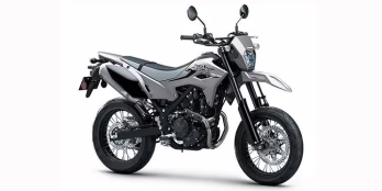 2025 Gray Kawasaki KLX 230 SM ABS Motorcycle