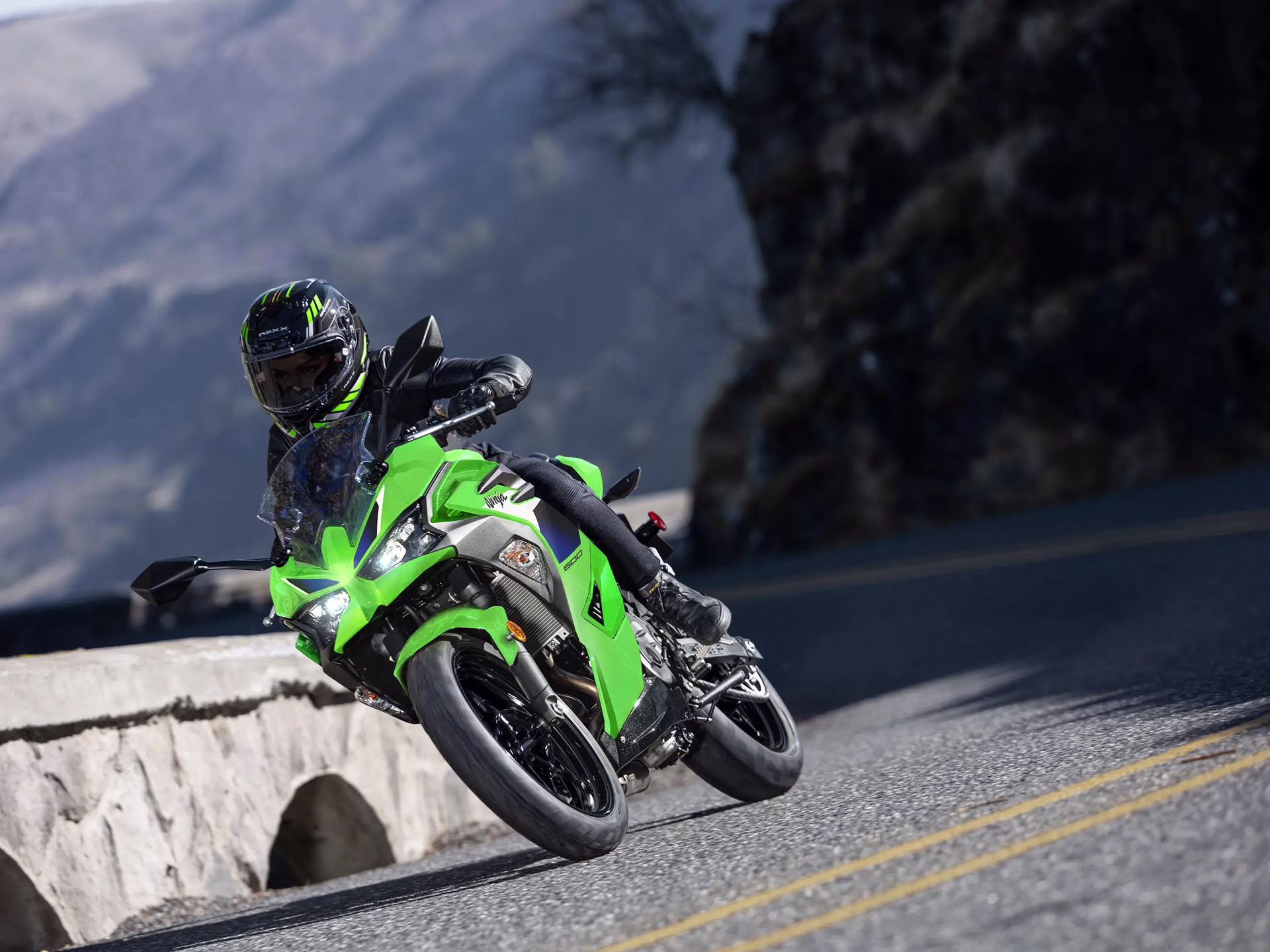 2026 Lime Green Kawasaki Ninja 500 Motorcycle