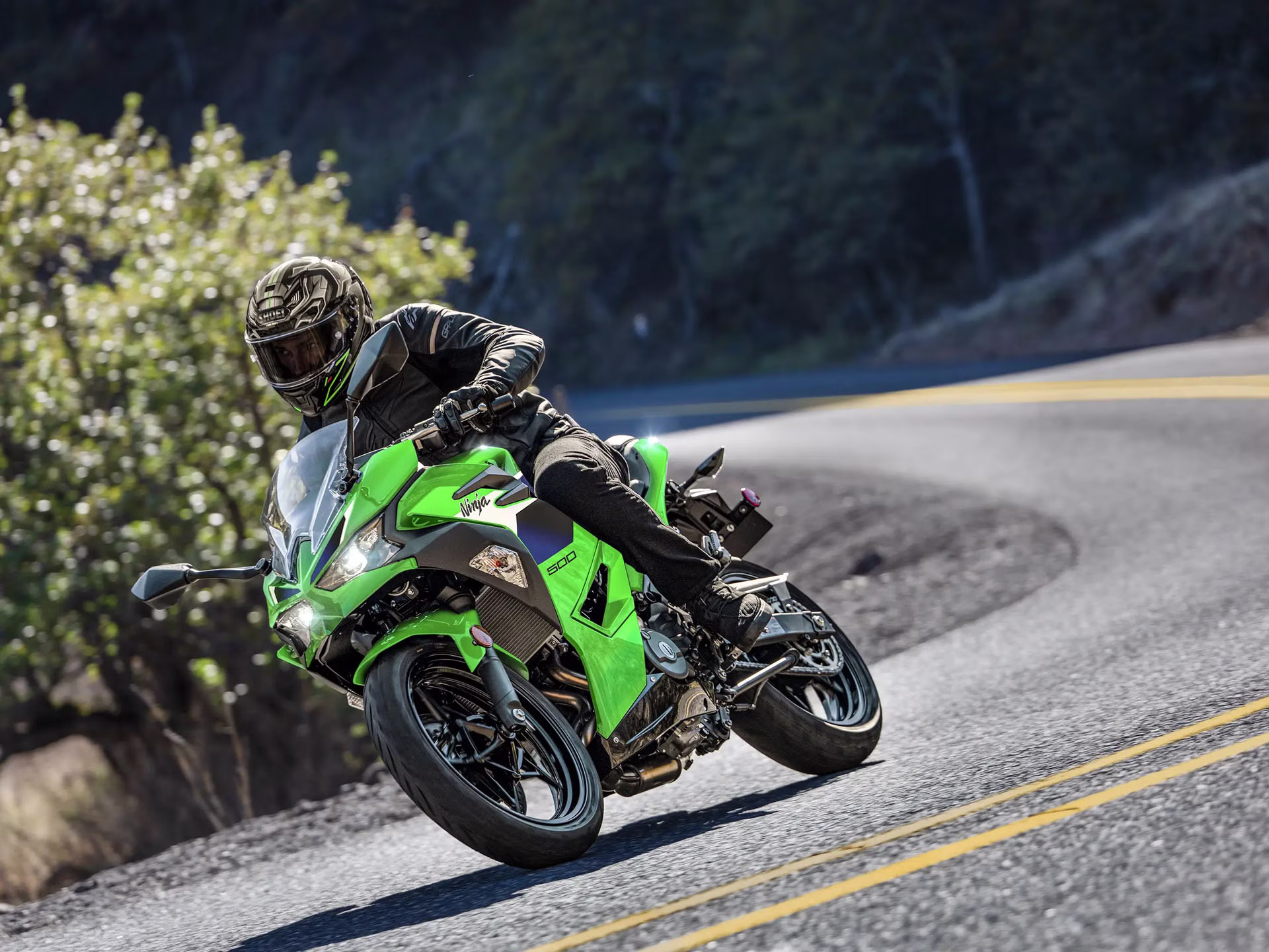 2026 Lime Green Kawasaki Ninja 500 Motorcycle