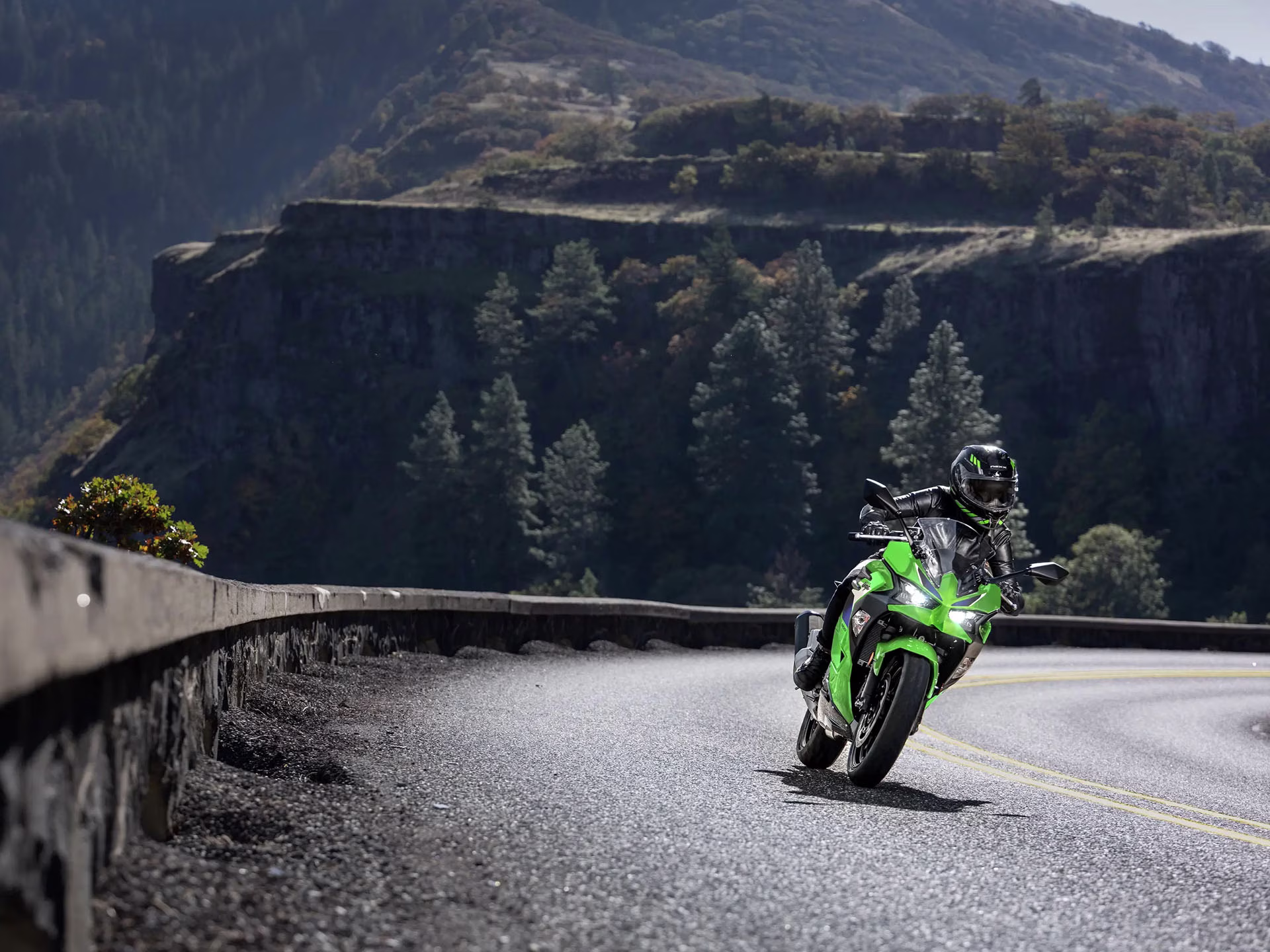 2026 Lime Green Kawasaki Ninja 500 Motorcycle