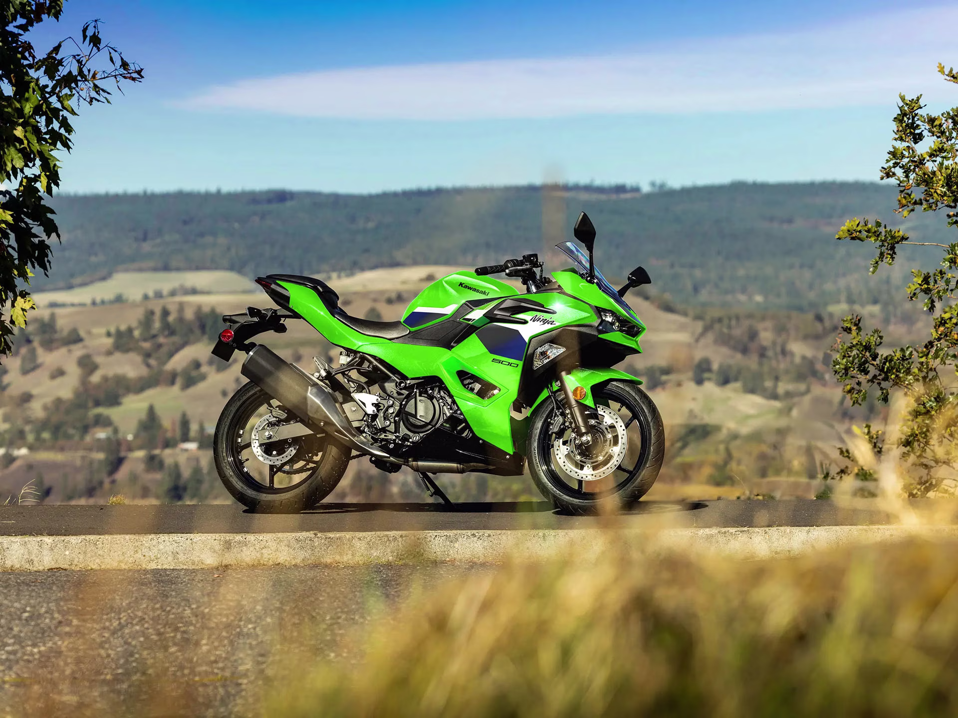 2026 Lime Green Kawasaki Ninja 500 Motorcycle