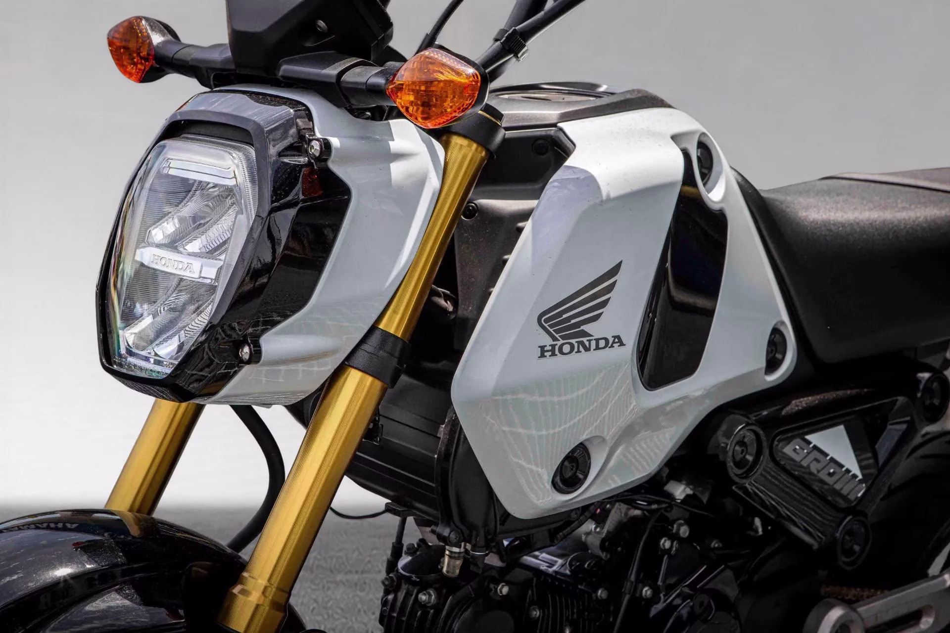 2024 Honda Grom Motorcycle