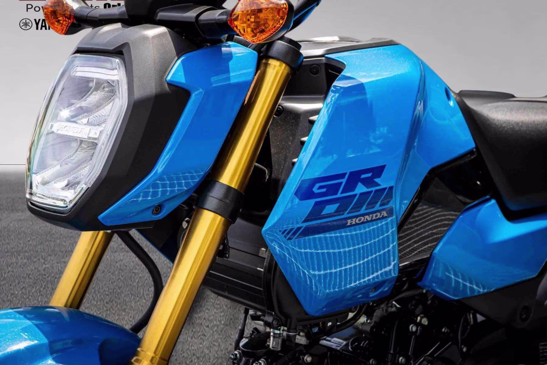 2025 Candy Blue Honda Grom Motorcycle
