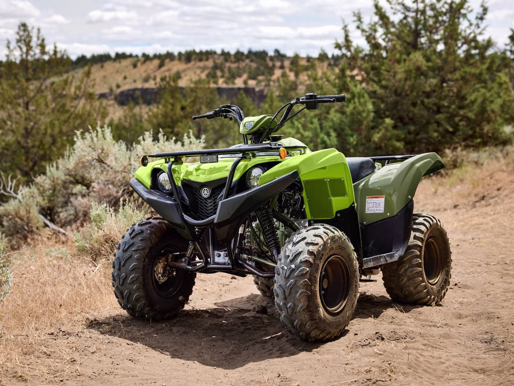 2026 Armor Grey Yamaha Grizzly 110 ATV