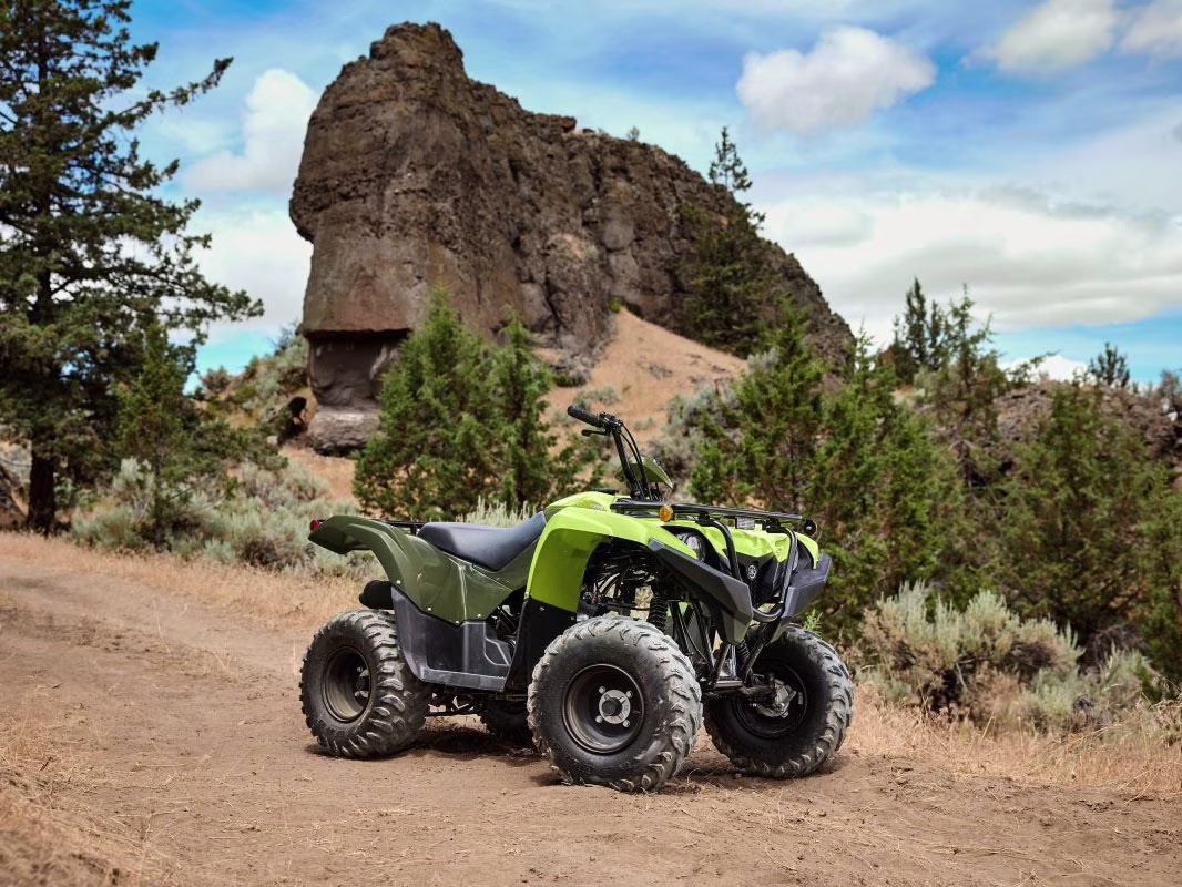 2026 Armor Grey Yamaha Grizzly 110 ATV