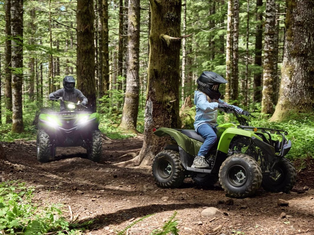 2026 Armor Grey Yamaha Grizzly 110 ATV