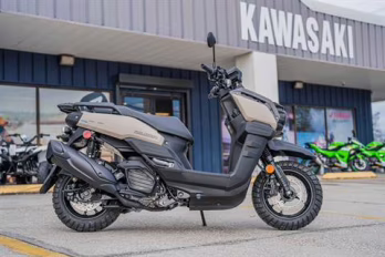 2025 Gray Yamaha ZUMA 125 Motorcycle