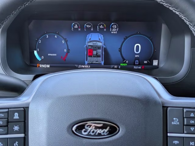 2025 Black Metallic Ford F-150 XLT 4X4 Truck