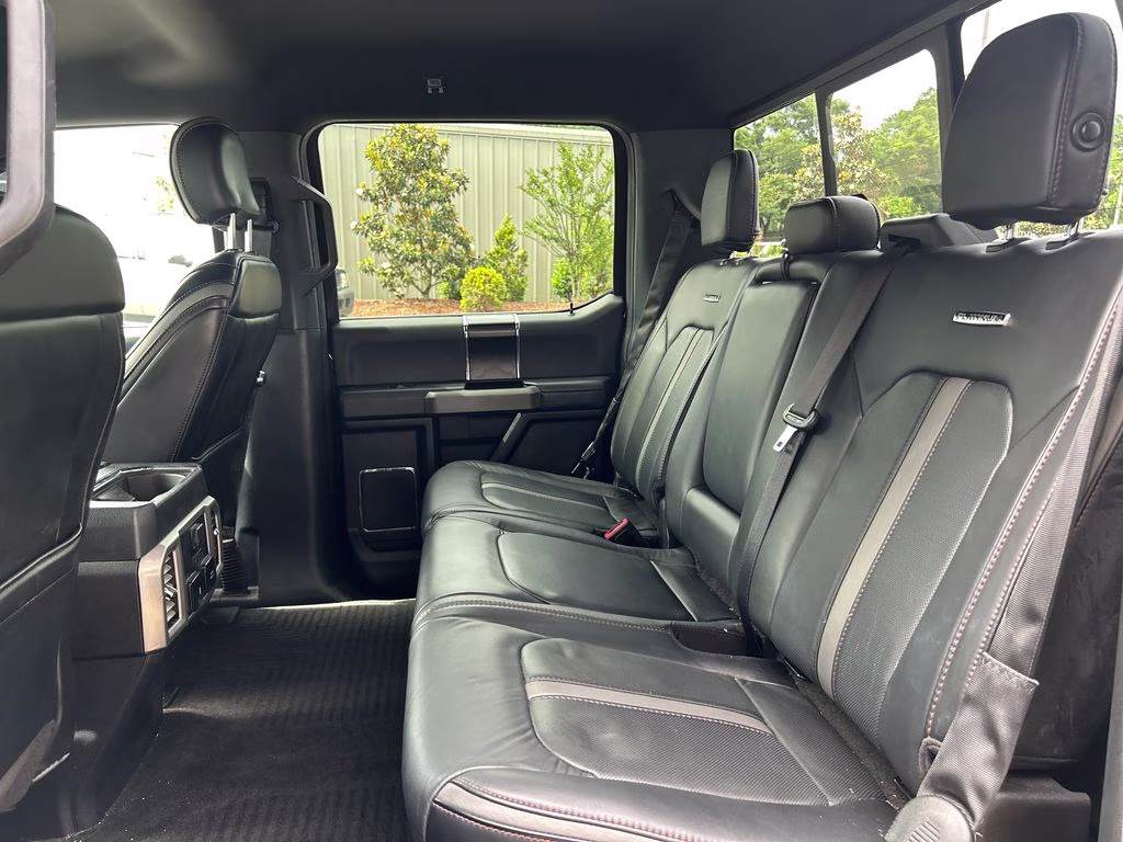 2019 Agate Black Metallic Ford F-150 Platinum RWD Truck