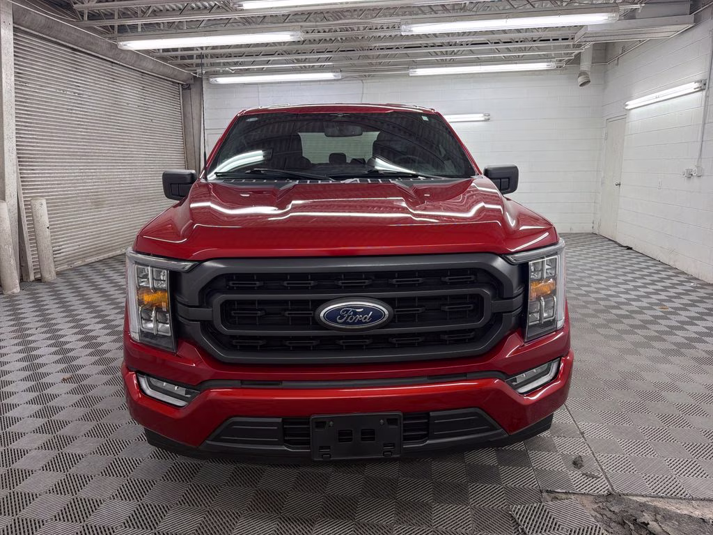 2023 Chili Pepper Red Ford F-150 XLT RWD Truck