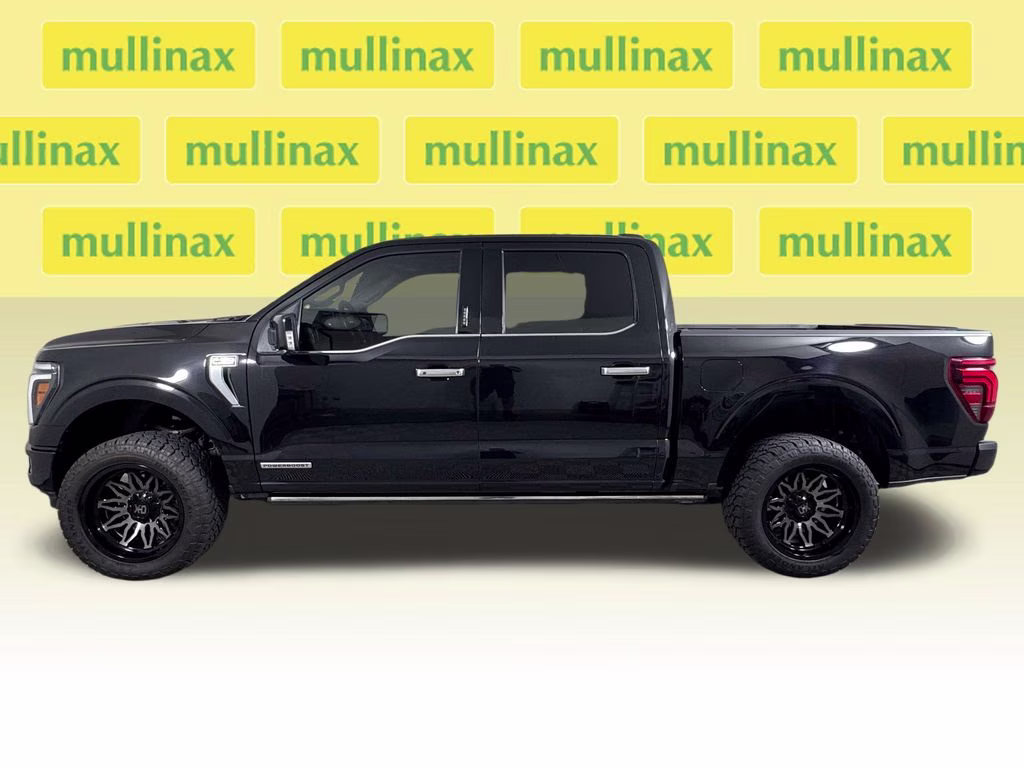 2024 Agate Black Metallic Ford F-150 Platinum 4X4 Truck